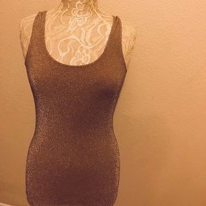 Soft surroundings shimmery tank